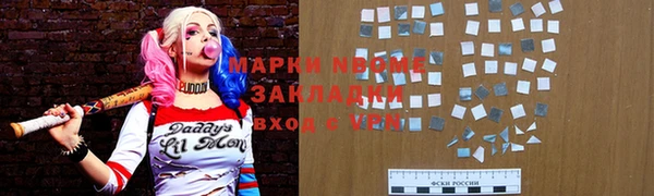 хмурый Алексин