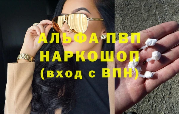 сатива Алзамай