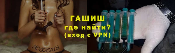 индика Абаза
