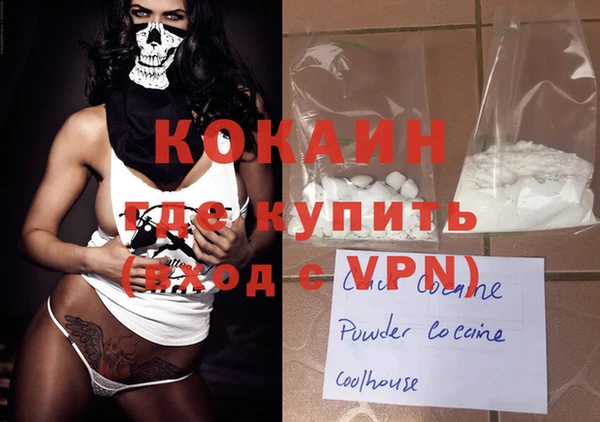 хмурый Алексин
