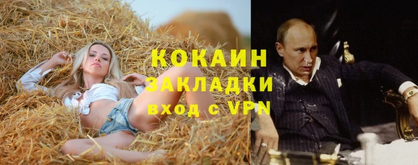 индика Абаза