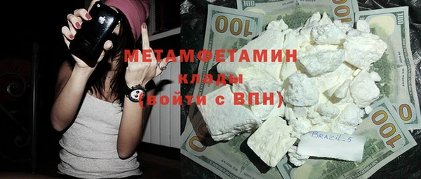 индика Абаза