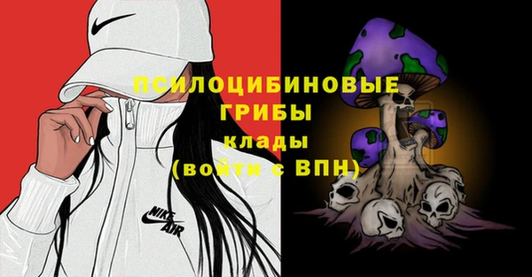 индика Абаза
