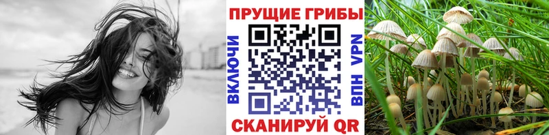 ссылка на мегу   Тула  Галлюциногенные грибы GOLDEN TEACHER  хочу наркоту 