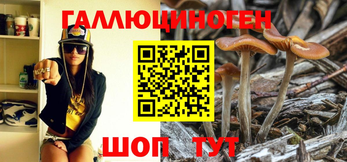 Псилоцибиновые грибы Cubensis Тула